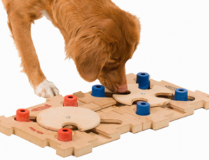 Dog puzzles