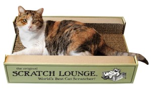 Scratch lounge