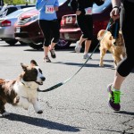 Bonnie-Grower-Photography-for-America-Vet-Dogs-18